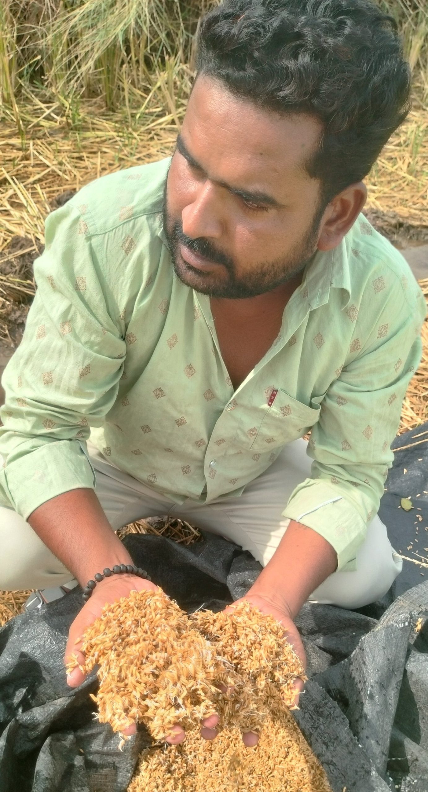మొలుకులు వచ్చిన వడ్లు,కన్నీళ్ళతో సతమతమవుతున్న రైతులు,తడిసిన వడ్లను వెంటనే ప్రభుత్వమే కొనుగోలు చేయాలి*