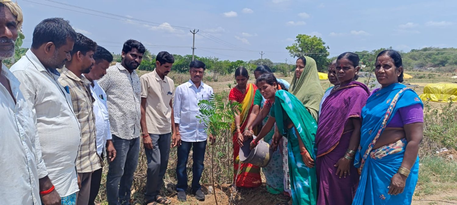 పర్యావరణ పరిరక్షణకు ప్రతి ఒక్కరు కృషి చేయాలి:-  కుస్మసముద్రం సర్పంచ్ గందె ప్రవీణ్ కుమార్