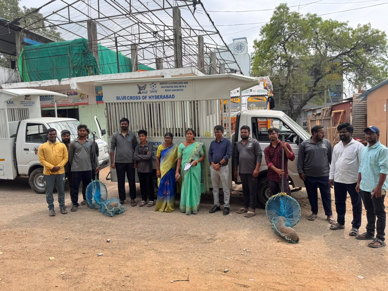 తాండూరులో వీధి కుక్కల పట్టివేత