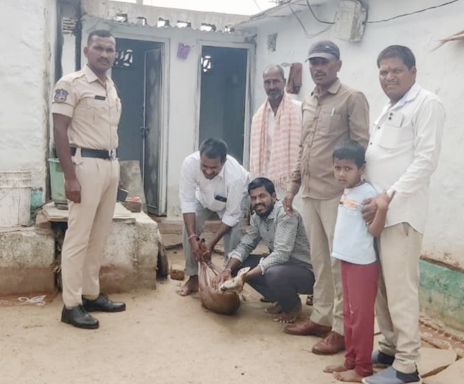 కుల్కచర్ల మండల కేంద్రంలో జనవాసాల్లోకి జింక- అటవీ శాఖ అధికారులకు అప్పగింత